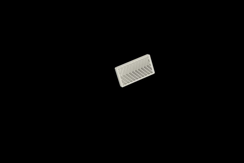 fish bone small.png